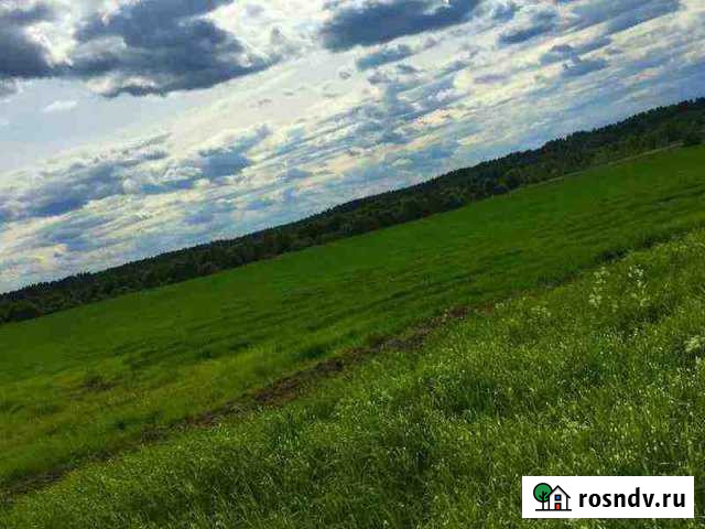 Участок СНТ, ДНП 4300 сот. на продажу в Воткинске Воткинск - изображение 1