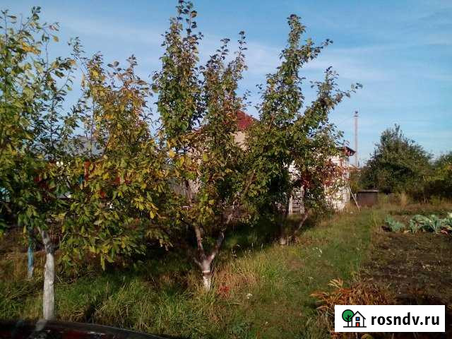 Дача 20 м² на участке 4 сот. на продажу в Ульяновске Ульяновск - изображение 1