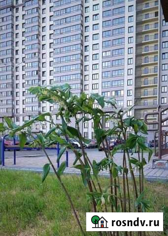 3-комнатная квартира, 67 м², 3/24 эт. на продажу в Нижнем Новгороде Нижний Новгород - изображение 1