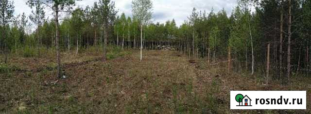 Участок ИЖС 10 сот. на продажу в Екатеринбурге Екатеринбург - изображение 1