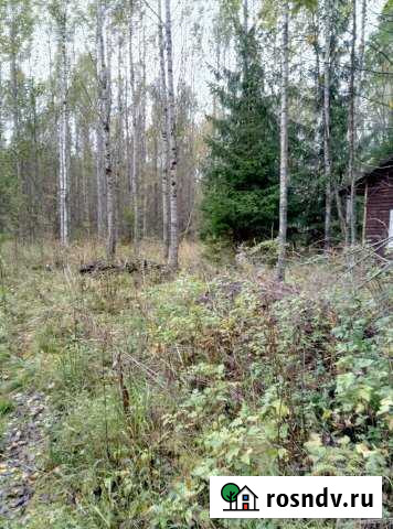 Участок СНТ, ДНП 20 сот. на продажу в Киришах Кириши - изображение 1