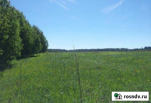 Участок СНТ, ДНП 700 сот. на продажу в Бегуницах Бегуницы - изображение 1