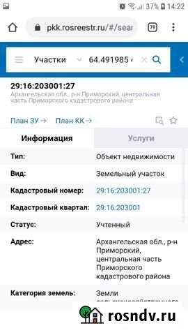 Участок СНТ, ДНП 271 сот. на продажу в Архангельске Архангельск - изображение 1