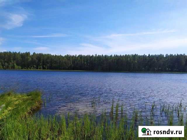 Участок СНТ, ДНП 11 сот. на продажу в Песочном Песочное - изображение 1