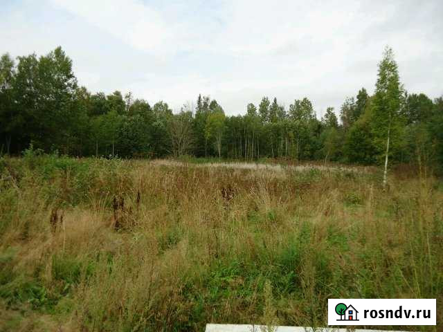 Участок СНТ, ДНП 100 сот. на продажу в Волхове Волхов - изображение 1