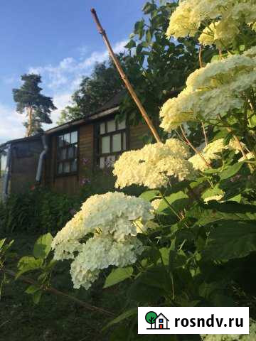 Дача 122 м² на участке 24 сот. на продажу в Кондрово Кондрово - изображение 1