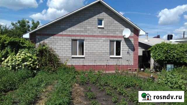 Дом 54 м² на участке 15 сот. в аренду на длительный срок в Дубовом Дубовое - изображение 1