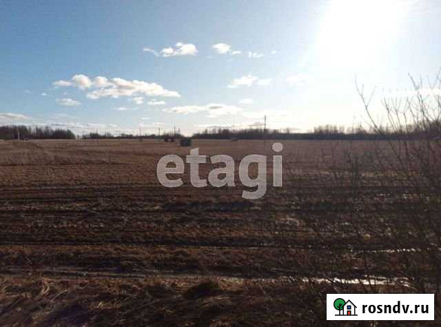 Участок ИЖС 10 сот. на продажу в Некрасовском Ярославской области Некрасовское - изображение 1