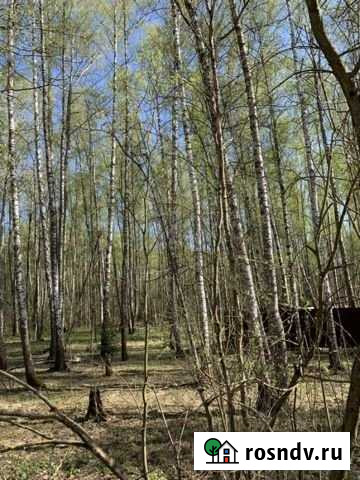 Участок ИЖС 25 сот. на продажу в Столбовой Столбовая - изображение 1