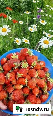 Дача 50 м² на участке 6 сот. на продажу в Сосновоборске Красноярского края Сосновоборск - изображение 1