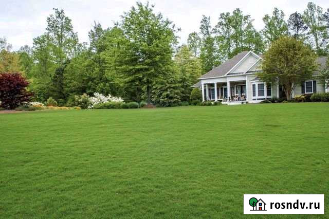 Участок СНТ, ДНП 8 сот. на продажу в Тюмени Тюмень - изображение 1