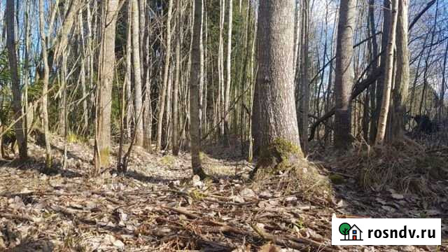 Участок СНТ, ДНП 10 сот. на продажу в Ломоносове Ломоносов - изображение 1