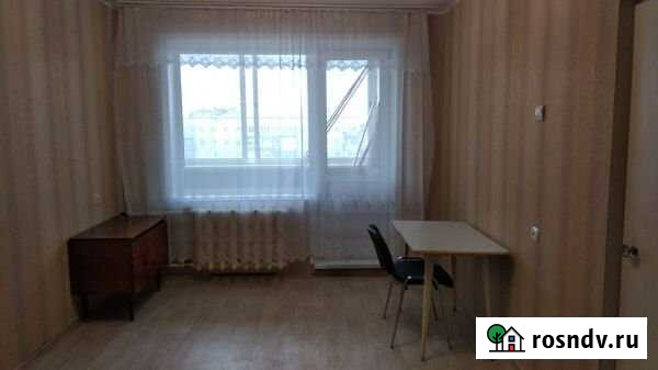 1-комнатная квартира, 31 м², 9/9 эт. в аренду на длительный срок в Новосибирске Новосибирск - изображение 1