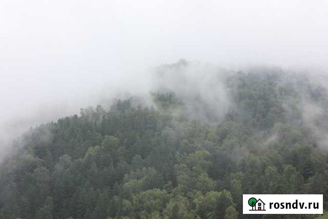 Участок СНТ, ДНП 600 сот. на продажу в Горно-Алтайске Горно-Алтайск - изображение 1