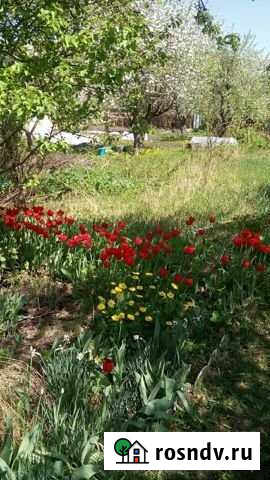 Дача 24 м² на участке 6 сот. на продажу в Ельце Елец - изображение 1