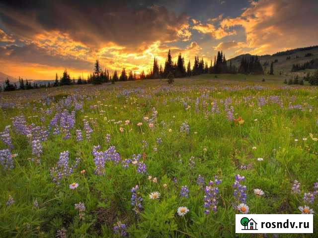 Участок ИЖС 10 сот. на продажу в Смоленске Смоленск - изображение 1