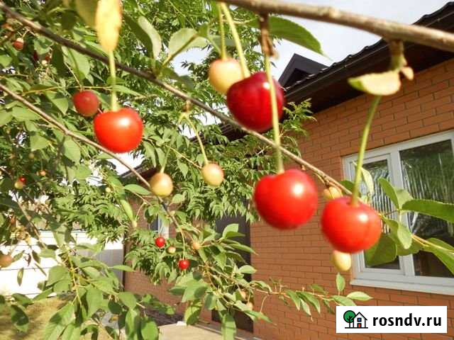 Дом 77 м² на участке 7 сот. на продажу в Новомышастовской Новомышастовская - изображение 1