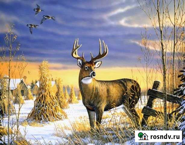 Участок СНТ, ДНП 170 сот. на продажу в Перми Пермь - изображение 1