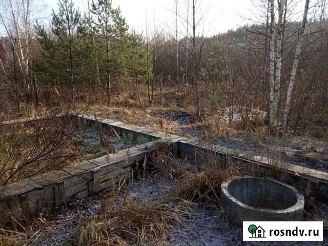 Участок СНТ, ДНП 24 сот. на продажу в Хорлово Хорлово - изображение 1