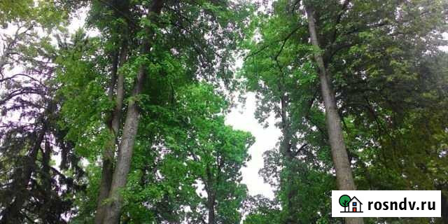 Участок ИЖС 36 сот. на продажу в Шишкине Лесе Шишкин Лес - изображение 1