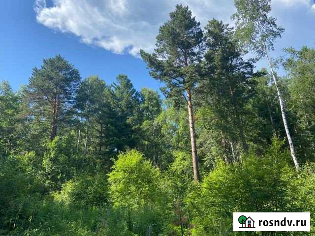 Участок ИЖС 50 сот. на продажу в Выдрино Выдрино - изображение 1