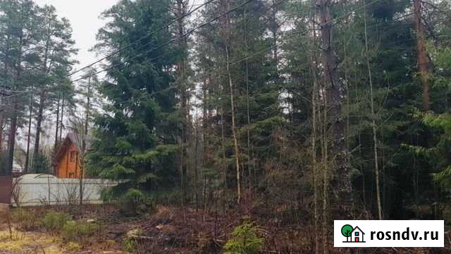 Участок ИЖС 10 сот. на продажу в Сертолово Сертолово - изображение 1