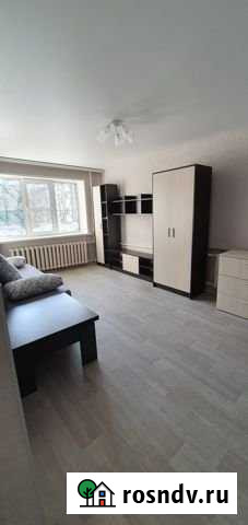 1-комнатная квартира, 45 м², 8/17 эт. в аренду на длительный срок в Воронеже Воронеж - изображение 1