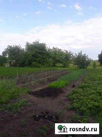 Дом 75 м² на участке 40 сот. на продажу в Красноармейском Республики Чувашия Красноармейское - изображение 1