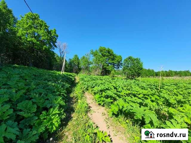 Участок ИЖС 50 сот. на продажу в Бегуницах Бегуницы - изображение 1