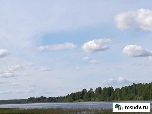 Участок СНТ, ДНП 1302 сот. на продажу в Выборге Выборг - изображение 1