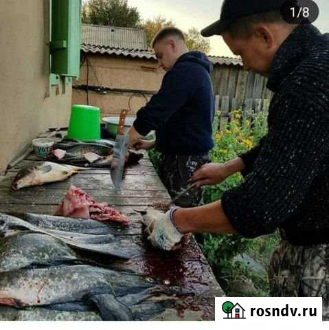 Дом 100 м² на участке 6 сот. в аренду посуточно в Камызяке Камызяк - изображение 1