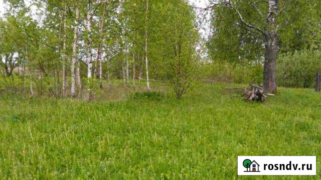 Участок ИЖС 15 сот. на продажу в Шаховской Шаховская - изображение 1