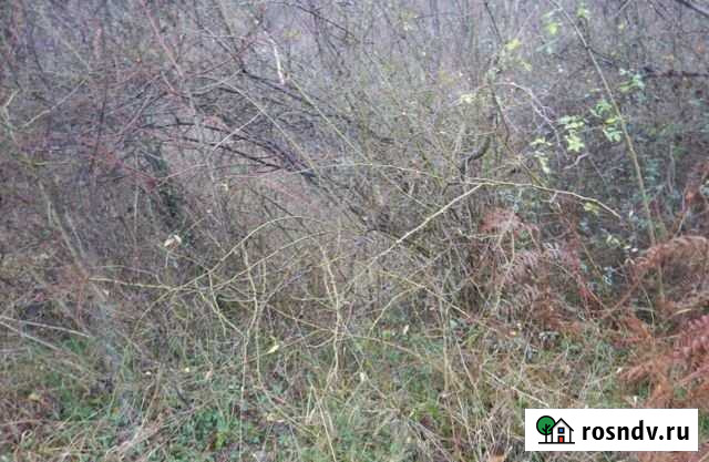 Участок СНТ, ДНП 5 сот. на продажу в Сочи Сочи - изображение 1