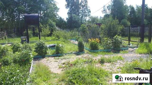 Дача 32 м² на участке 11 сот. на продажу в Николо-Павловском Николо-Павловское - изображение 1