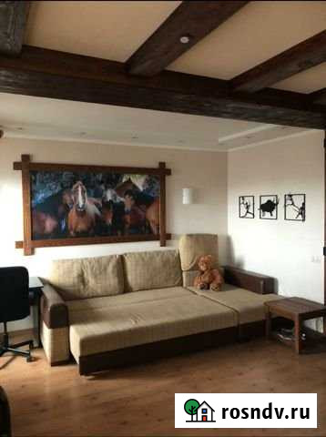 Квартира-студия, 50 м², 16/16 эт. в аренду на длительный срок в Новосибирске Новосибирск - изображение 1