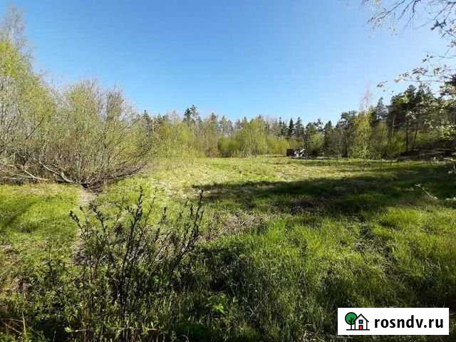 Участок ИЖС 11 сот. на продажу в Кузнечном Кузнечное - изображение 1