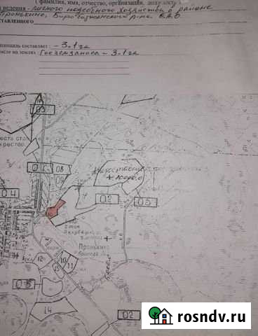 Участок СНТ, ДНП 300 сот. на продажу в Биробиджане Биробиджан - изображение 1