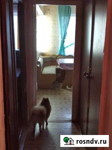 3-комнатная квартира, 60.4 м², 5/5 эт. на продажу в Кимовске Кимовск - изображение 1