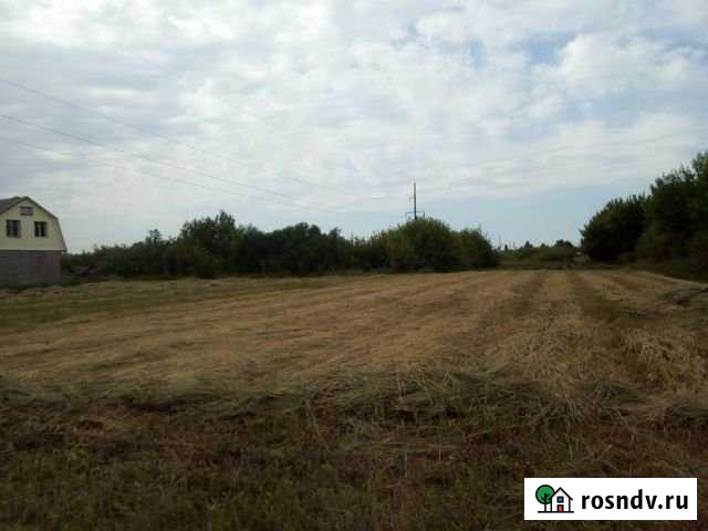 Участок СНТ, ДНП 13 сот. на продажу в Эртиле Эртиль - изображение 1