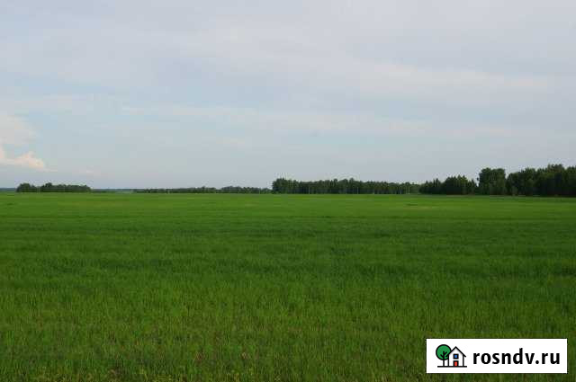 Участок СНТ, ДНП 5000 сот. на продажу в Барнауле Барнаул - изображение 1