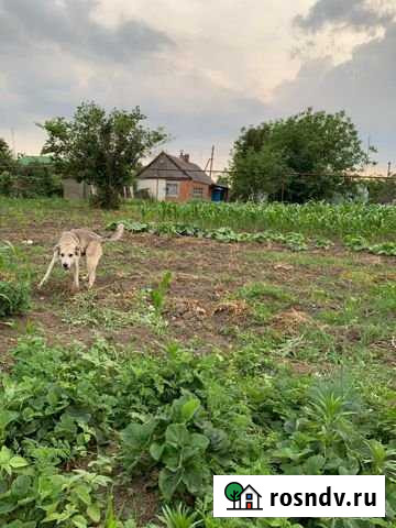 Участок ИЖС 10 сот. на продажу в Великовечном Великовечное - изображение 1