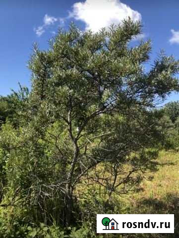 Участок ИЖС 10 сот. на продажу в Ижевске Ижевск - изображение 1