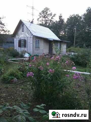 Участок СНТ, ДНП 5 сот. на продажу в Санкт-Петербурге Санкт-Петербург - изображение 1