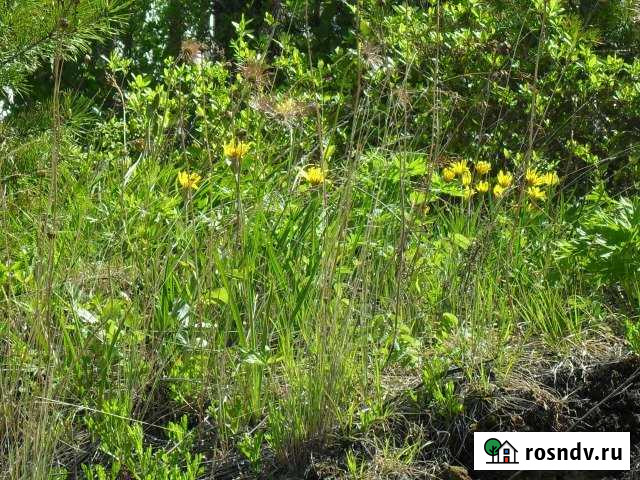 Участок СНТ, ДНП 840 сот. на продажу в Иркутске Иркутск - изображение 1