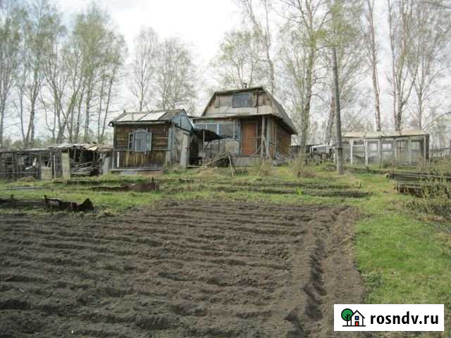 Дача 20 м² на участке 11 сот. на продажу в Новосибирске Новосибирск - изображение 1