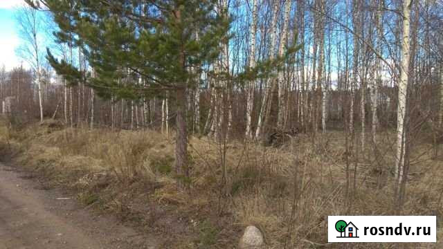 Участок СНТ, ДНП 10 сот. на продажу в Выборге Выборг - изображение 1