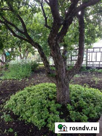 Дача 50 м² на участке 6 сот. на продажу в Набережных Челнах Набережные Челны - изображение 1