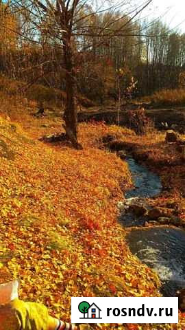 Участок СНТ, ДНП 20 сот. на продажу в Майме Республики Алтай Майма - изображение 1