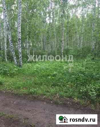 Участок СНТ, ДНП 13 сот. на продажу в Красноярске Красноярск