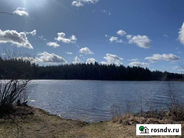 Участок ИЖС 15 сот. на продажу в Выборге Выборг - изображение 1